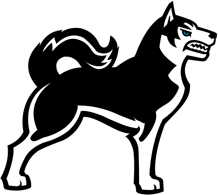 Northeastern Huskies 2001-2006 Alternate Logo v3 diy fabric transfer